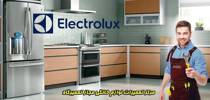 نمایندگی تعمیرات لوازم خانگی الکترولوکس در شیراز
